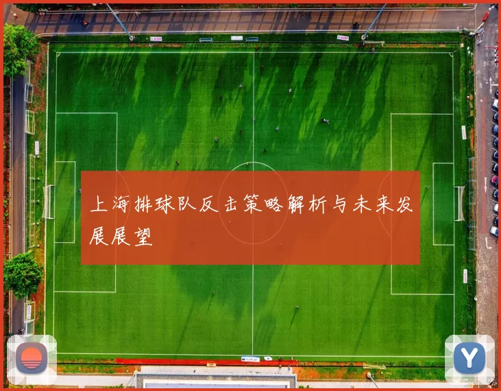 上海排球队反击策略解析与未来发展展望