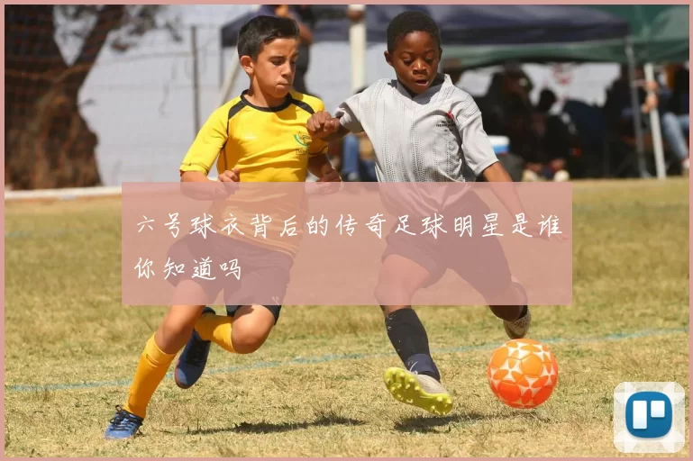 六号球衣背后的传奇足球明星是谁你知道吗