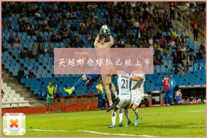 英超哪些球队已经上市