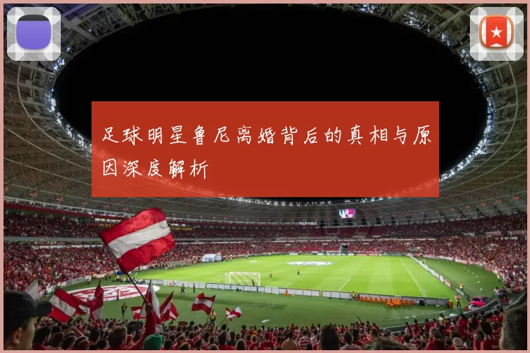 足球明星鲁尼离婚背后的真相与原因深度解析