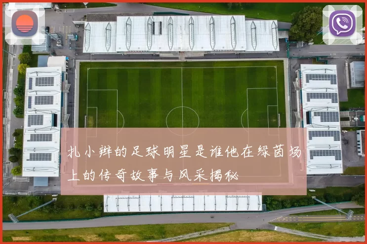 扎小辫的足球明星是谁他在绿茵场上的传奇故事与风采揭秘