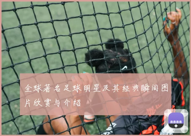 全球著名足球明星及其经典瞬间图片欣赏与介绍
