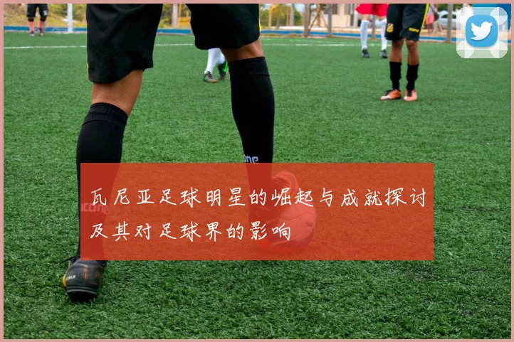 瓦尼亚足球明星的崛起与成就探讨及其对足球界的影响