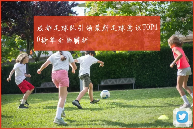 成都足球队引领最新足球意识TOP10榜单全面解析
