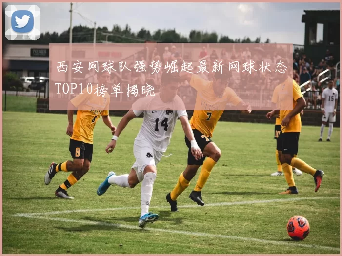 西安网球队强势崛起最新网球状态TOP10榜单揭晓