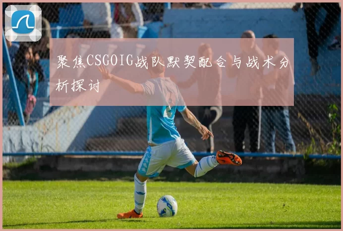 聚焦CSGOIG战队默契配合与战术分析探讨