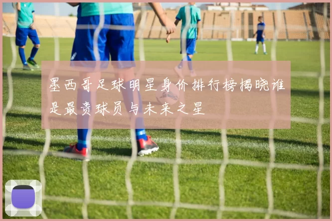 墨西哥足球明星身价排行榜揭晓谁是最贵球员与未来之星