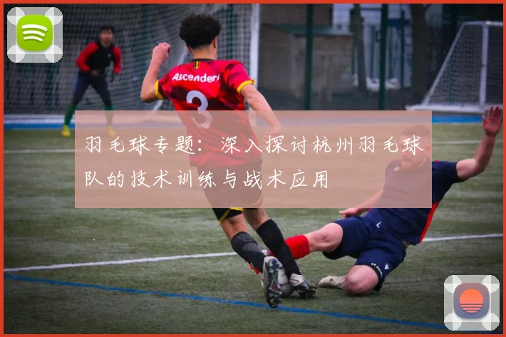 羽毛球专题：深入探讨杭州羽毛球队的技术训练与战术应用