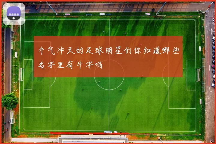 牛气冲天的足球明星们你知道哪些名字里有牛字吗