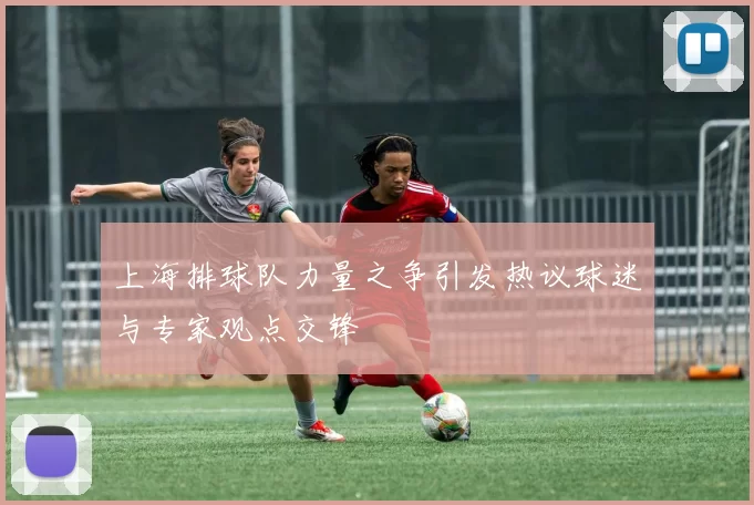 上海排球队力量之争引发热议球迷与专家观点交锋