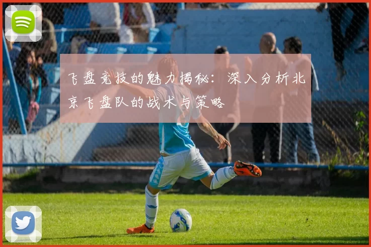 飞盘竞技的魅力揭秘：深入分析北京飞盘队的战术与策略