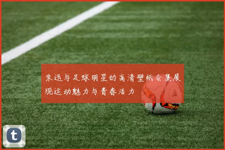 朱迅与足球明星的高清壁纸合集展现运动魅力与青春活力
