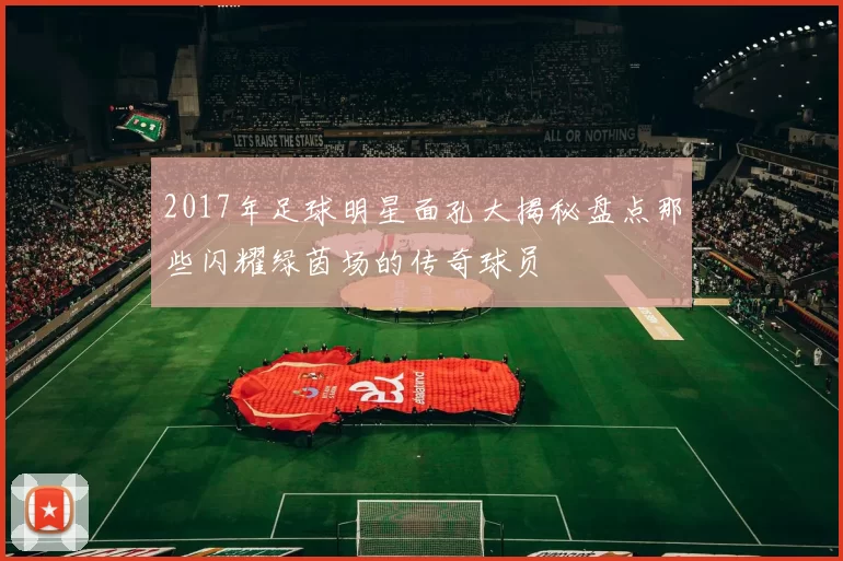2017年足球明星面孔大揭秘盘点那些闪耀绿茵场的传奇球员