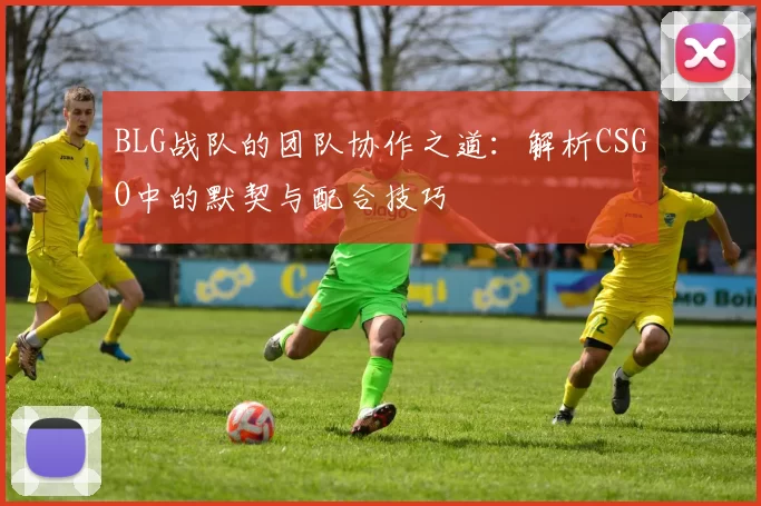 BLG战队的团队协作之道：解析CSGO中的默契与配合技巧