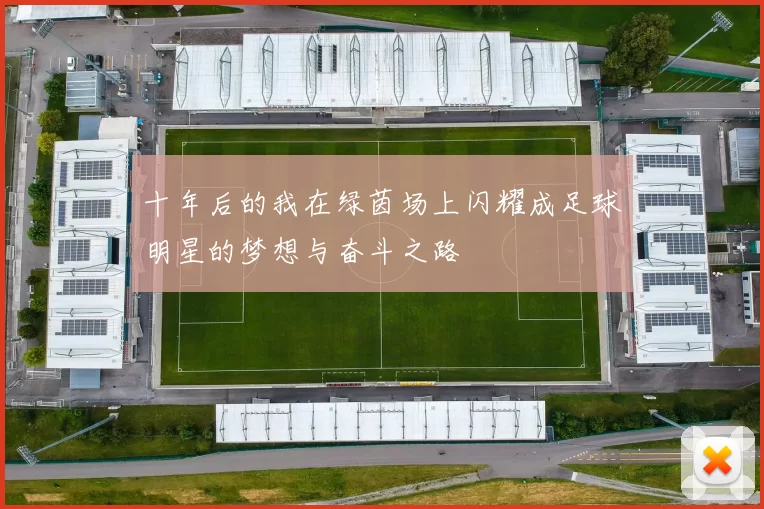 十年后的我在绿茵场上闪耀成足球明星的梦想与奋斗之路