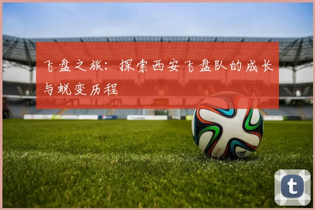 飞盘之旅：探索西安飞盘队的成长与蜕变历程