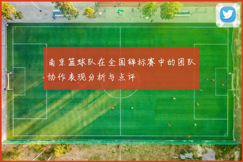 南京篮球队在全国锦标赛中的团队协作表现分析与点评