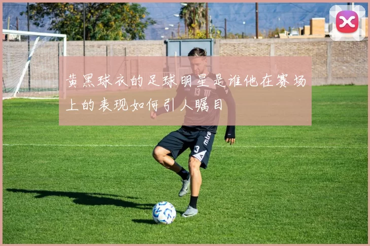 黄黑球衣的足球明星是谁他在赛场上的表现如何引人瞩目