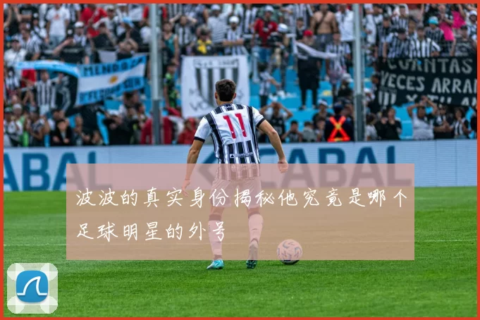 波波的真实身份揭秘他究竟是哪个足球明星的外号