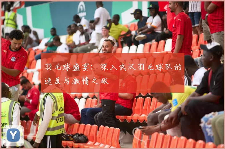 羽毛球盛宴：深入武汉羽毛球队的速度与激情之旅