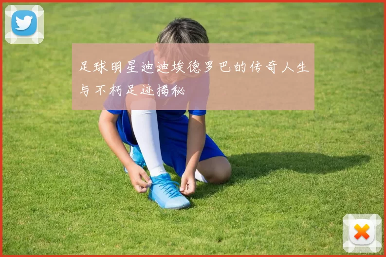 足球明星迪迪埃德罗巴的传奇人生与不朽足迹揭秘