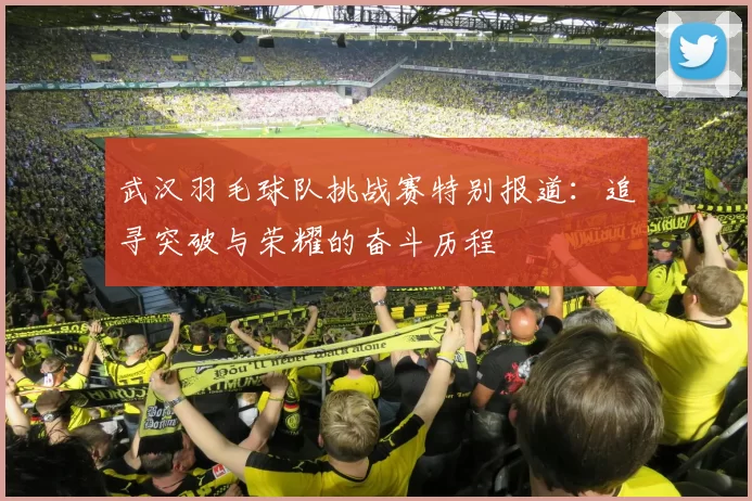 武汉羽毛球队挑战赛特别报道：追寻突破与荣耀的奋斗历程