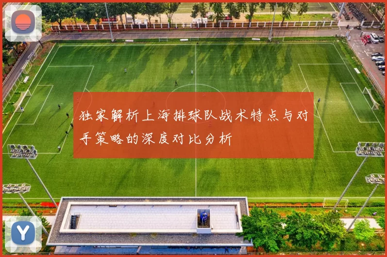 独家解析上海排球队战术特点与对手策略的深度对比分析