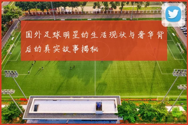 国外足球明星的生活现状与奢华背后的真实故事揭秘